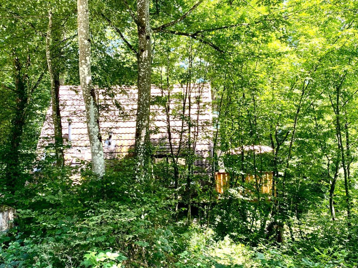 A- Frame Huisje Ardennen Durbuy Εξωτερικό φωτογραφία