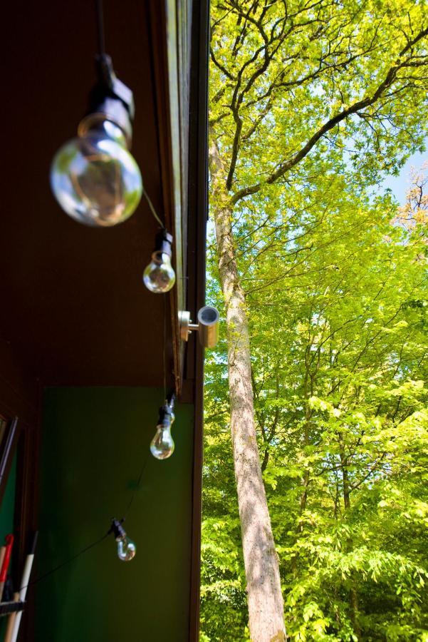 A- Frame Huisje Ardennen Durbuy Εξωτερικό φωτογραφία